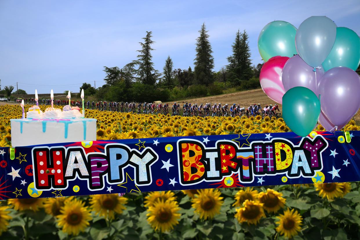  The Tour de France peloton passes sunflowers, with birthday cake overlaid 