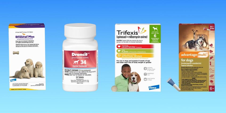 The dog dewormers Droncit, Drontal, Trifexis, and Advantage Multi are arranged on a blue gradient background.