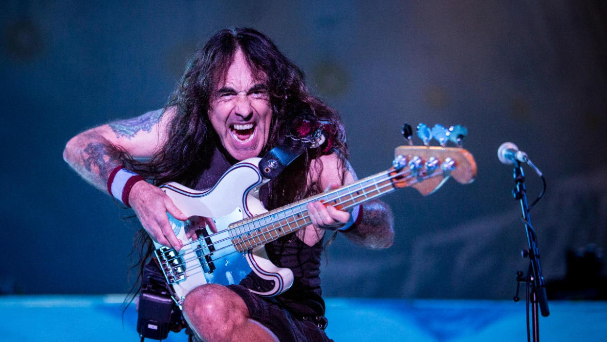  Steve Harris on stage 