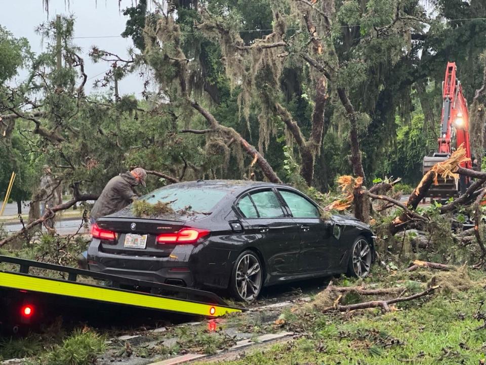 In front of the School of Arts and Sciences on Thomasville Road, a large tree limb blocked the road and caused a detour for local commuters. The tree limb fell around 7 a.m. and caused a single-car crash.