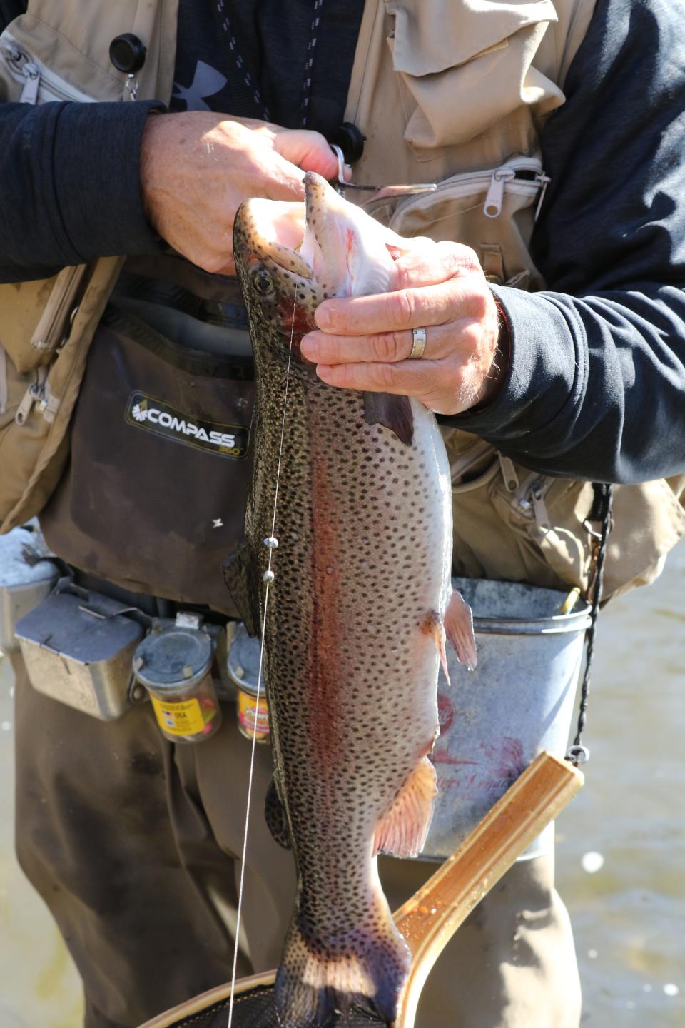 Scott Farrar of Hawthorne pulls in a large rainbow trout in the early morning on the Ramapo River in Mahwah, on opening day of fishing season, near Camp Glen Gray on April 6, 2019.