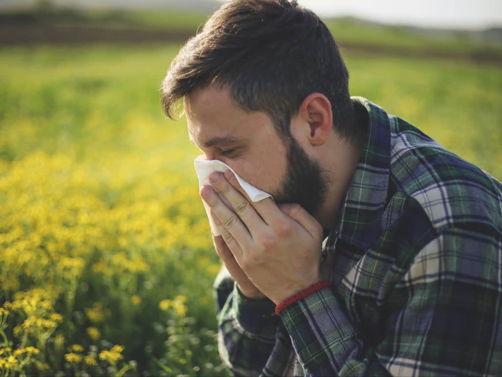 About 30 per cent of people in the world suffer pollen allergies  (Getty Images/iStockphoto)
