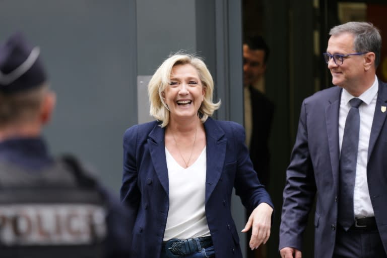 Le Pen insisted that the RN could still win an absolute majority (Dimitar DILKOFF)