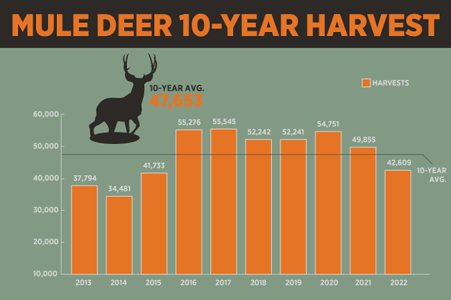 Mule deer populations are forecast to be below 10-year averages