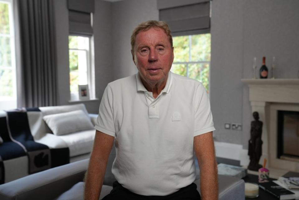 Harry Redknapp (handout)