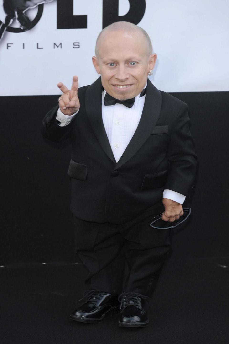 Verne Troyer was best known for playing Mini-Me in the Austin Powers films (PA)