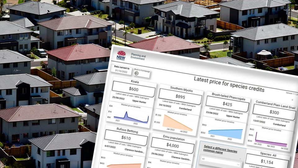 A still showing the latest price for species credits over an aerial picture of housing. 