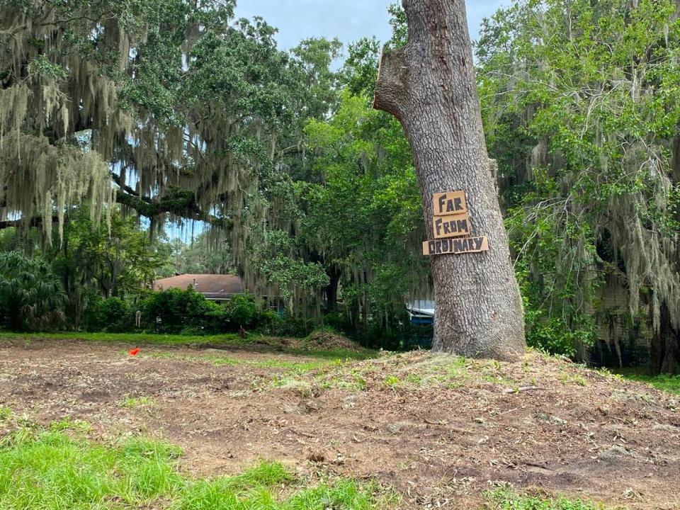 A recently chopped live oak that Port Royal residents are fighting to keep was adorned with a sign that read “Far From Ordinary” on Friday, Aug. 12, 2022.