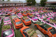 Miniature gardens sit on the rooftops of unused taxis parked in Bangkok, Thailand, Thursday, Sept. 16, 2021. Taxi fleets in Thailand are giving new meaning to the term “rooftop garden,” as they utilize the roofs of cabs idled by the coronavirus crisis to serve as small vegetable plots and raise awareness about the plight of out of work drivers. (AP Photo/Sakchai Lalit)