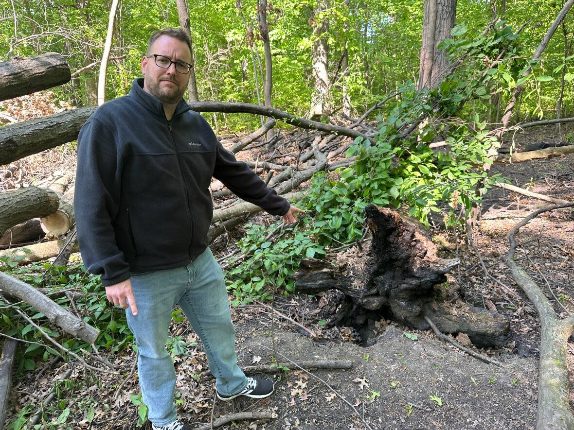 Ward 4 Coun. Mark McKenzie points to a burnt stump in Memorial Park woods. (Dale Molnar/CBC - image credit)