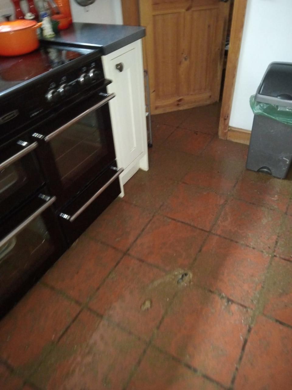 Sewage covering the kitchen floor (Buster Price)