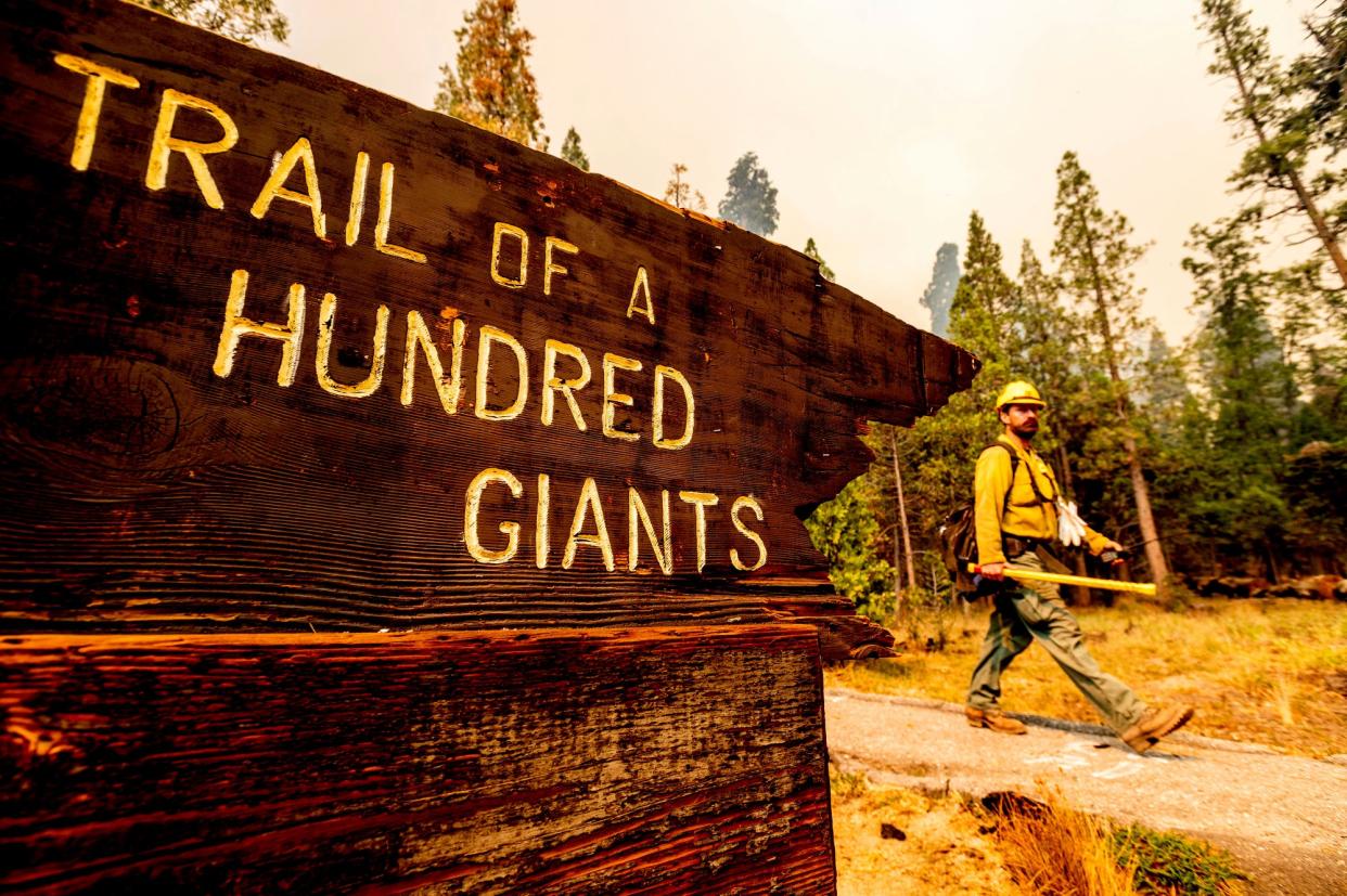 A firefighter battles the Windy Fire burning in the Trail of 100 Giants grove of Sequoia National Forest, Calif., on Sunday, Sept. 19, 2021.  