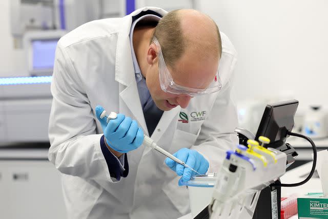 <p>Chris Jackson/Getty Images</p> Prince William performs DNA sequencing tests at the Centre for Wildlife Forensics at Lim Chu Kang in Singapore on Wednesday