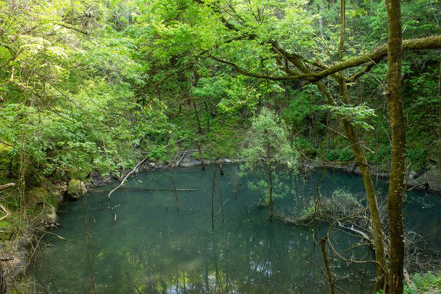 <p>RobIre/Getty Images</p>