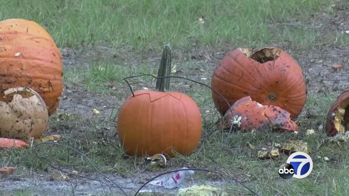 'Great Pumpkin Blowout' lets people explode pumpkins with Civil War era