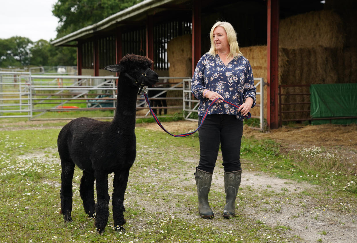 Owner Helen Macdonald with Geronimo the alpaca at Shepherds Close Farm in Wooton Under Edge, Gloucestershire.