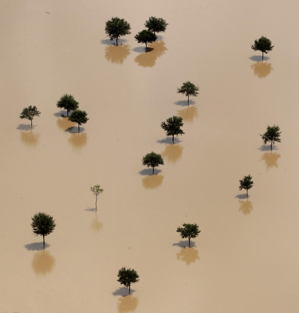 <p>Trees rise from a field submerged by water from the flooded Brazos River in the aftermath of Hurricane Harvey Friday, Sept. 1, 2017, near Freeport, Texas. (Photo: Charlie Riedel/AP) </p>