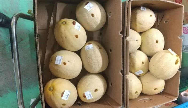 超市的13顆哈蜜瓜通通被人戳洞。（圖／翻攝自釧路市警局推特）