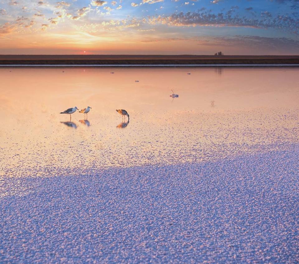 錫瓦什湖（Image Source : Getty Creative/iStockphoto）