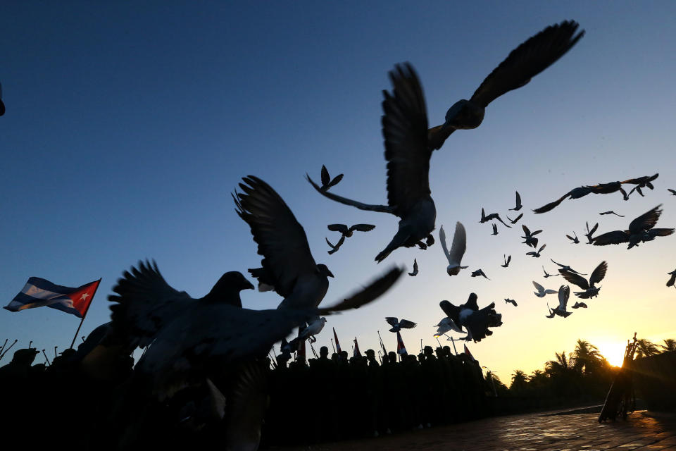 Pigeons in Playa Las Coloradas, Cuba