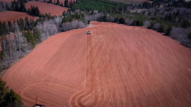 Growing a legacy: P.E.I. farmer plants barley named for late brother