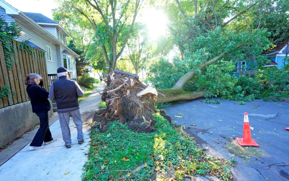 Ann Bernier, left, and Cletus Hasslinger, nearby neighbors, check out a tree that is uprooted across East Holt Avenue just east of South New York Avenue in the Bay View neighborhood on the south side of Milwaukee on Monday, Sept. 26, 2022. A cluster of strong thunderstorms made their way across central and southeastern Wisconsin Sunday evening causing damage along the way.