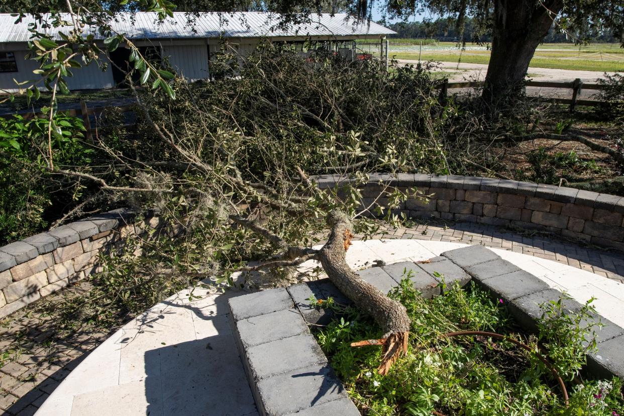 June is a good time to reduce storm hazards in your yard.