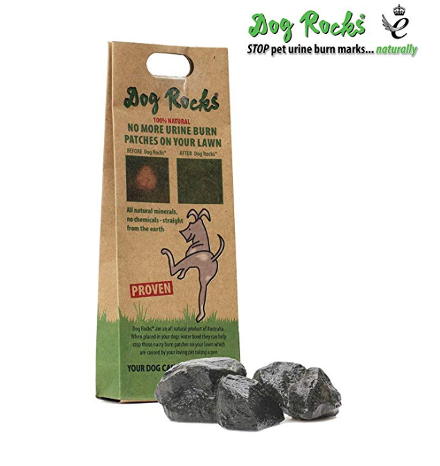 Dog Rocks. Image via Amazon. 