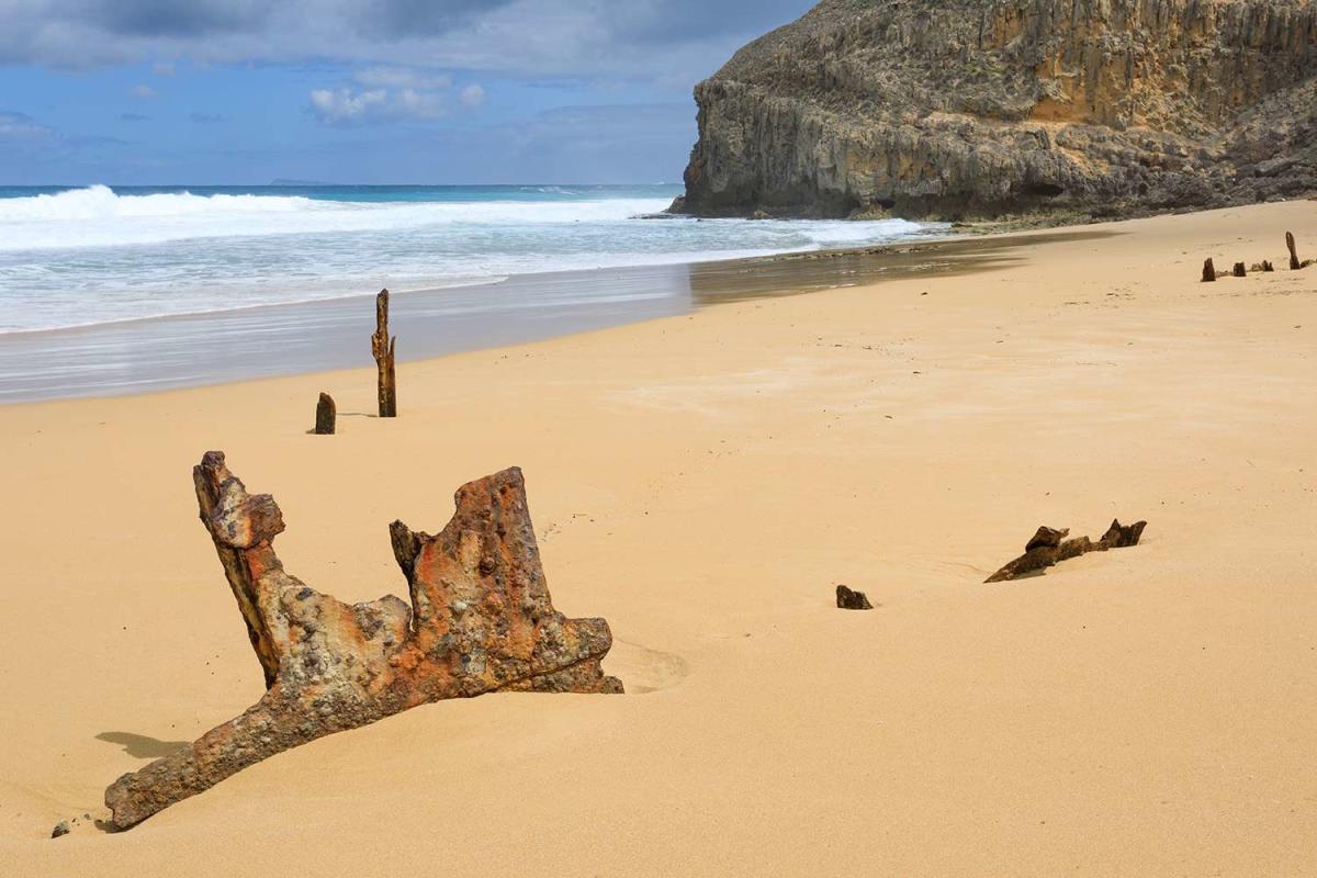 Shark Attacks New Zealand Woman Walking in Knee-Deep Water