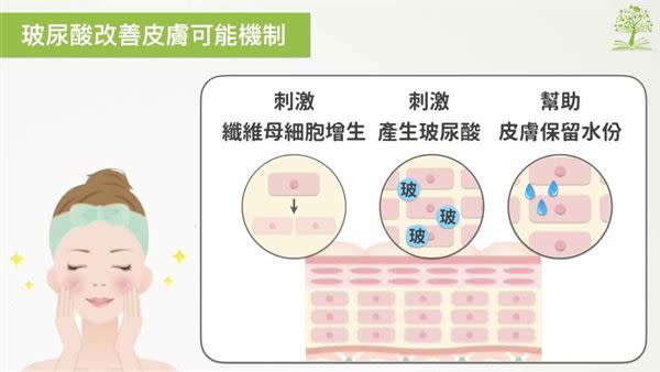 （圖片／好食課林世航營養師提供）