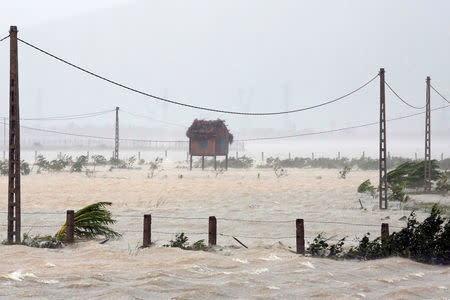 A flooded field is seen as Doksuri storm hits Ha Tinh province, Vietnam September 15, 2017. REUTERS/Kham