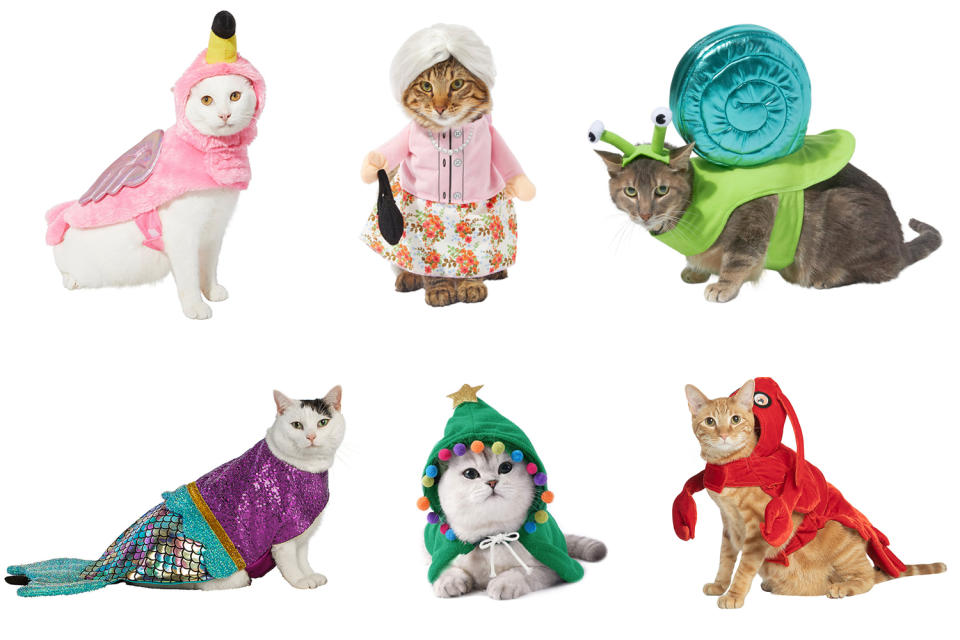 25 Halloween Costumes for Cats that Will Make Your Feline Look Scary Cute