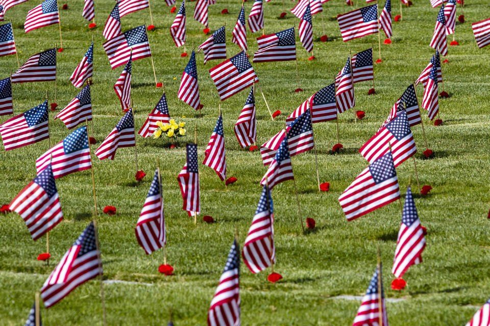 American flags and flowers seen at a veterans cemetery (Ty O'Neill / SOPA Images / LightRocket via Getty Images)