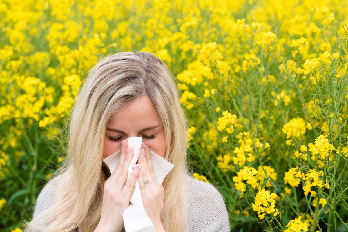 Spring and early summer is the worst time for hay fever sufferers (Alamy/PA) (Alamy)