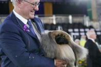 David Fitzpatrick, owner, breeder and handler, holds Wasabi, a Pekingese, after the dog won Best in Show at the Westminster Kennel Club dog show, Sunday, June 13, 2021, in Tarrytown, N.Y. (AP Photo/Kathy Willens)