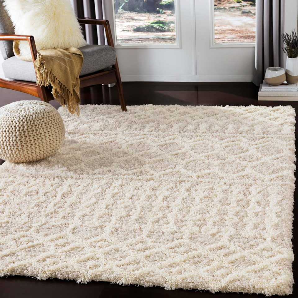 15 Best Amazon Rugs, According to Experts