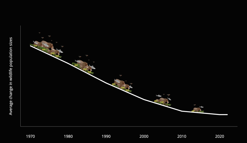 The World Wildlife Fund for Nature's Living Planet Index — which tracks populations of mammals, birds, fish, reptiles, and amphibians — found an average 69% decrease in monitored wildlife populations since 1970.  / Credit: World Wildlife Fund for Nature