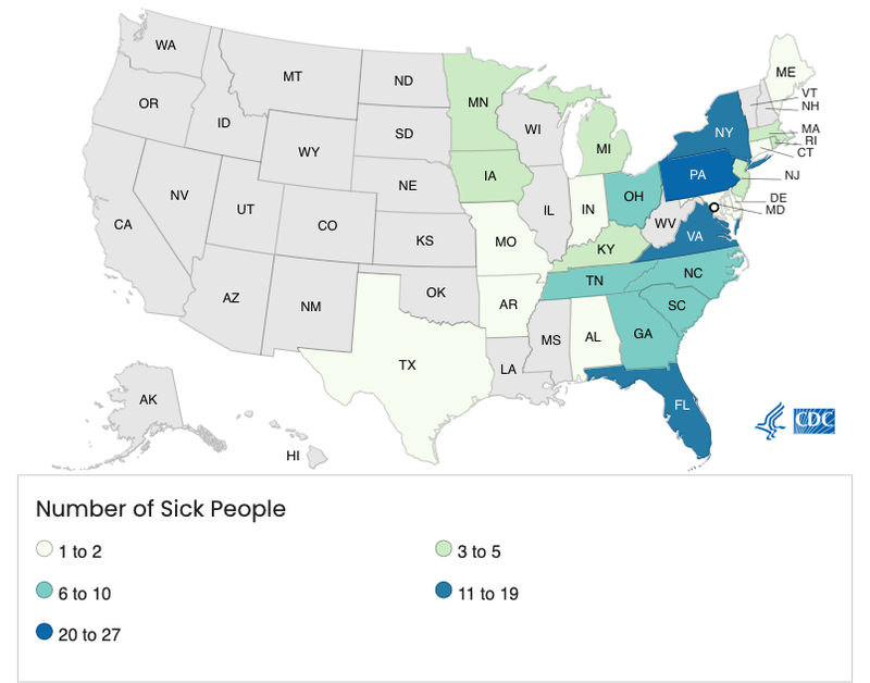 CDC Says Cucumbers Likely Cause of Salmonella Outbreak in 25 States