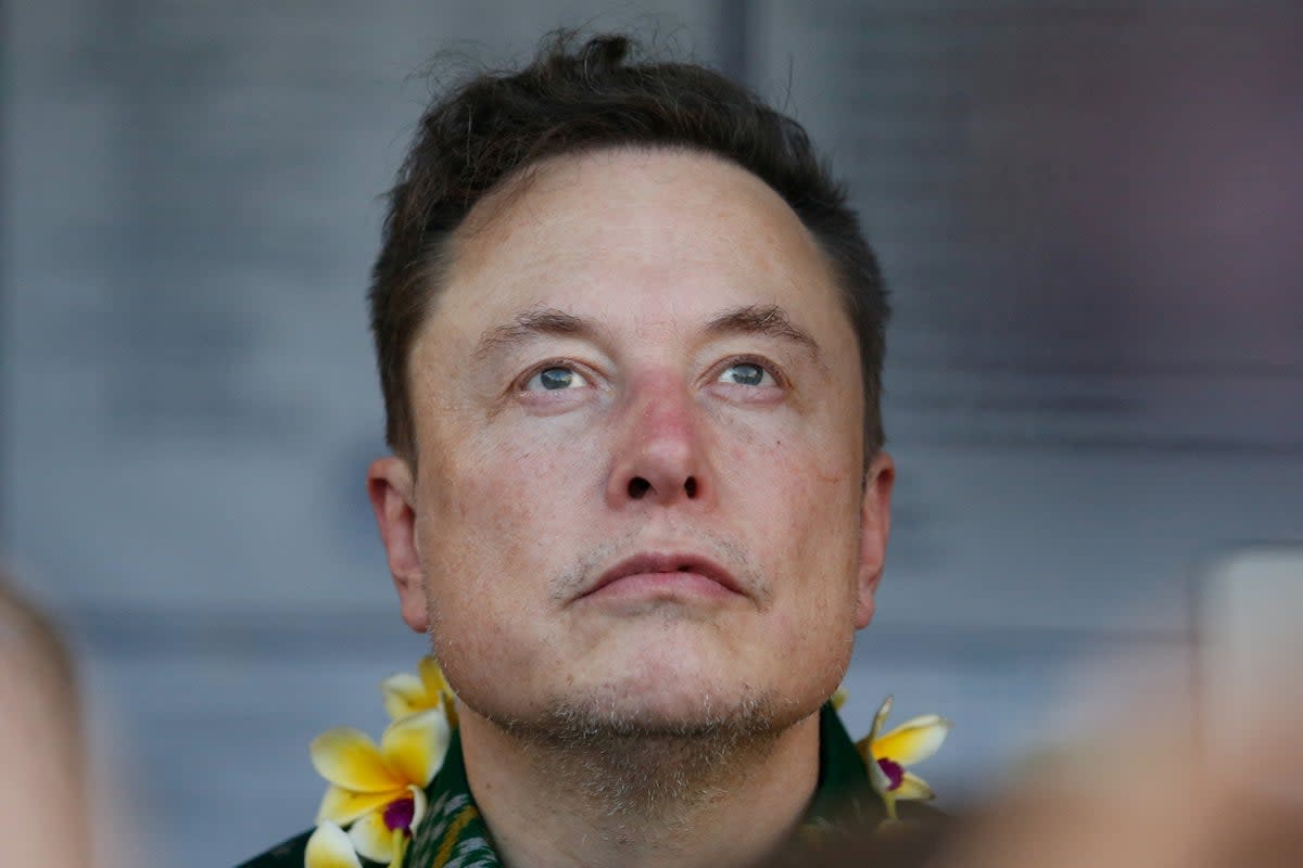 Elon Musk has faced fierce backlash over his post which he tried to explain away as ‘a joke’ (REUTERS)