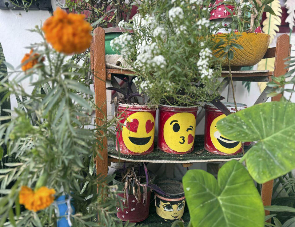 Personalized Valentine's Day themed planters in New Delhi, India, on Monday, Feb. 12, 2024. Looking for a meaningful, beautiful, sustainable and last-minute gift for your Valentine? Consider houseplants. (AP Photo/Verda Subzwari)