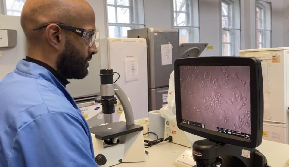 Dr Prashant Ruchaya studies stem cells in the lab (University of East London)