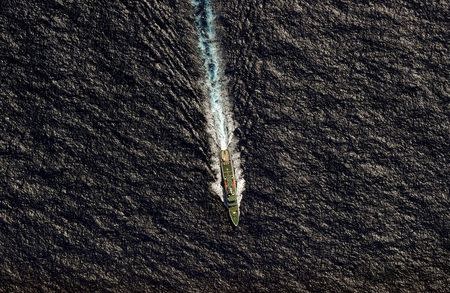 The Chinese Maritime Safety Administration vessel Hai Xin 01 is seen from a Royal New Zealand Air Force (RNZAF) P-3K2 Orion aircraft in the southern Indian Ocean, as the search continues for missing Malaysian Airlines Flight MH370, in this April 13, 2014 file photo. REUTERS/Greg Wood/Pool/Files