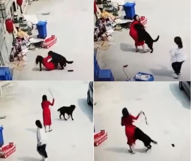 紅衣長裙女子被大公狗撲倒。（圖／翻攝自監視器畫面）