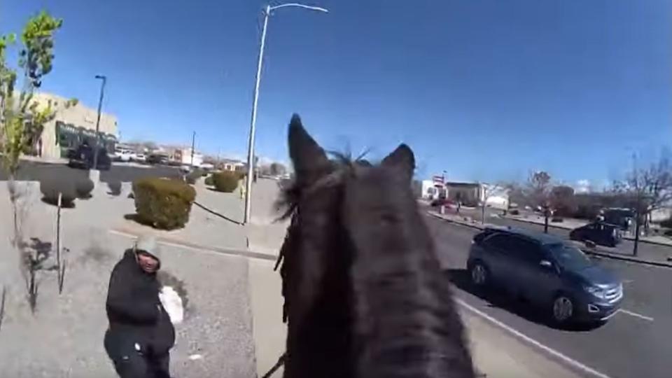 Watch Police Riding Horses Chase Down A Shoplifter