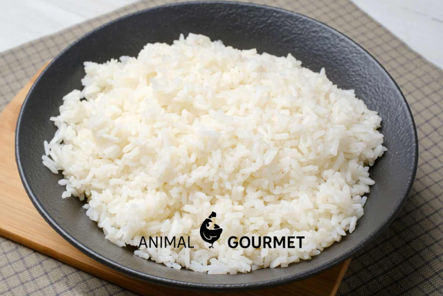 Guía completa para saber cómo hacer Arroz blanco al vapor en una