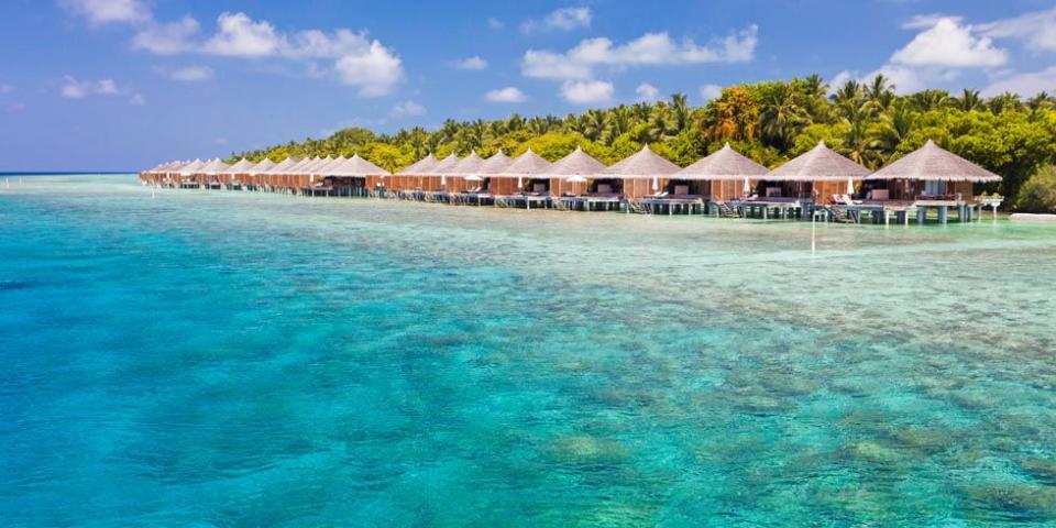 <p>In the Maldives, you can see the ocean floor from your hotel room</p>