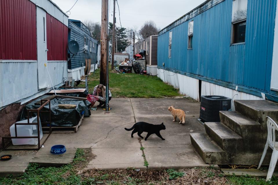 Lindsay Bailey feeds cats at the Quaker Mobile Home Park at 300 11th St. NW in New Philadelphia. She says that she has been harassed by residents in the past for feeding the cats, and noted that she once had eggs thrown at her car.