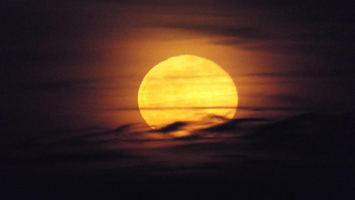 Look up! The Full Worm Moon to illuminate the night sky