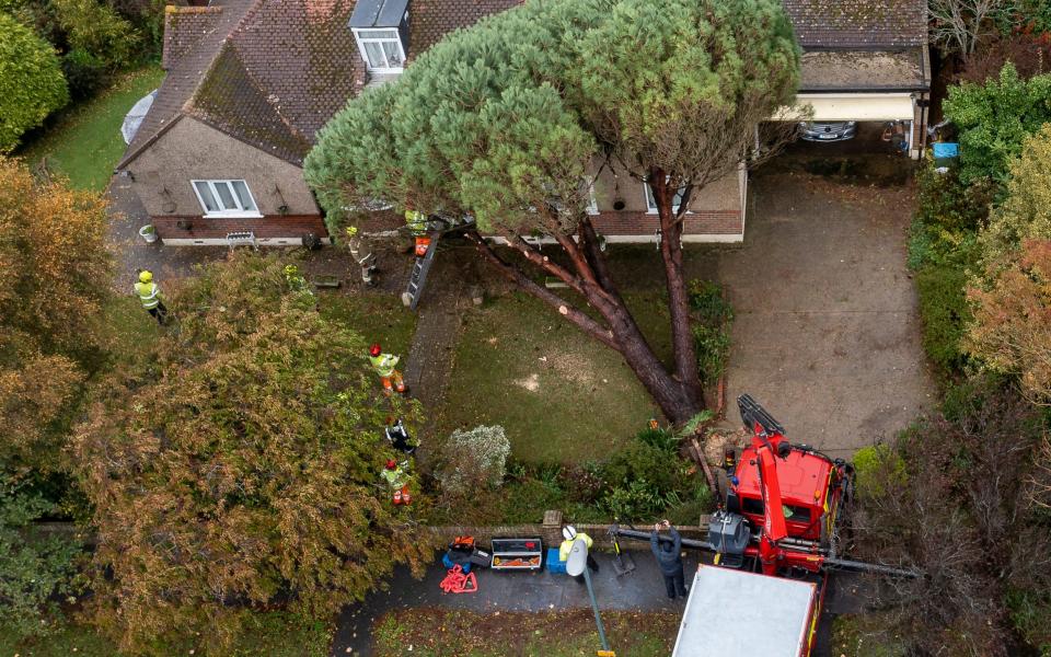 Firefighters from West Sussex attend an incident in Pagham where a tree fell onto a house