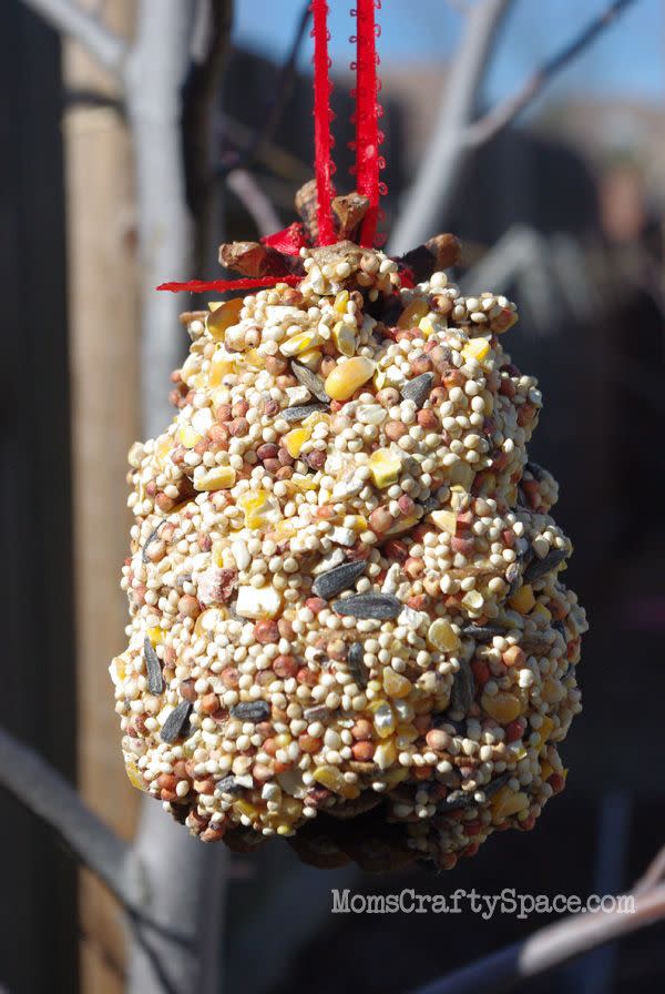 73) Pinecone Bird Feeder